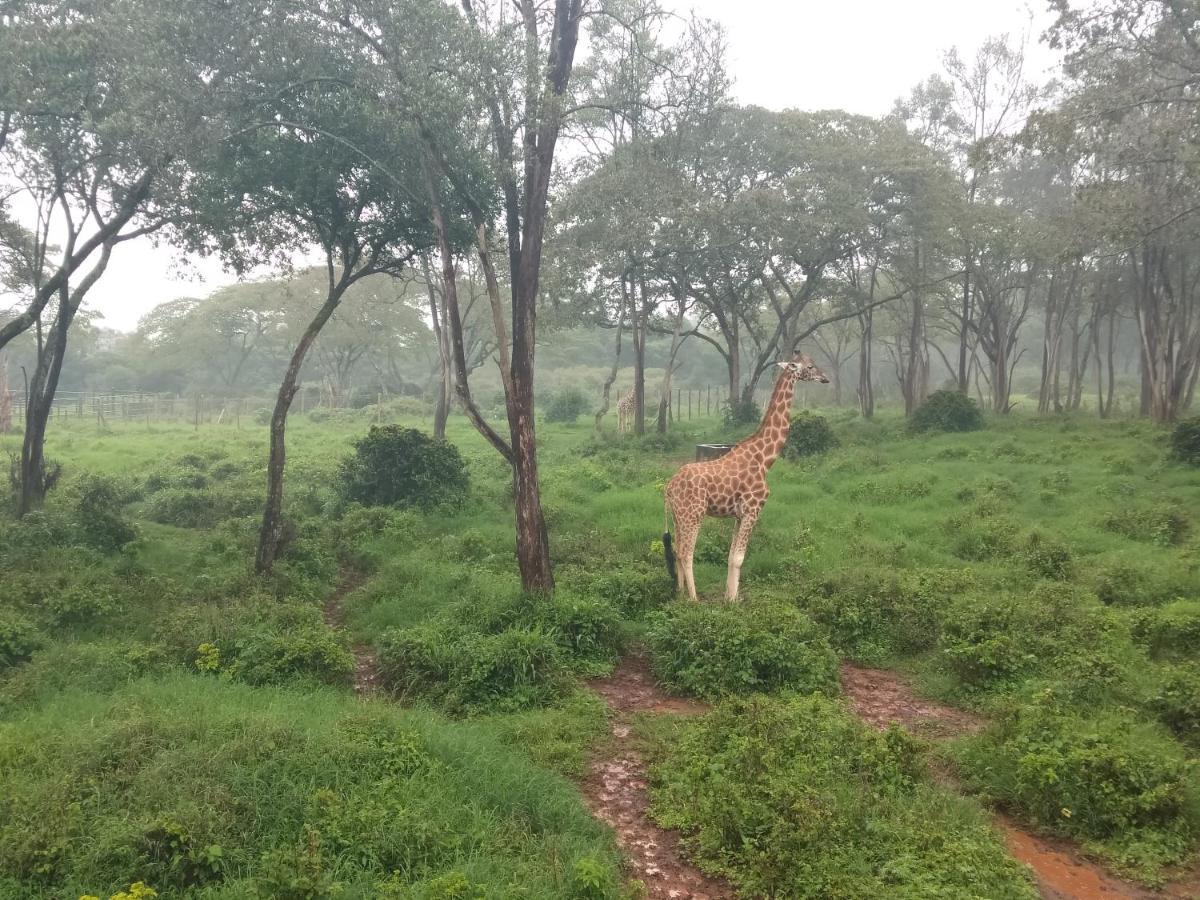 Elimurk Bnb Near Jkia N Sgr Nairobi Esterno foto